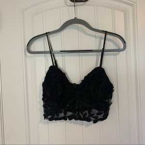 Bardot Black Floral / Lace Sheer Crop Top